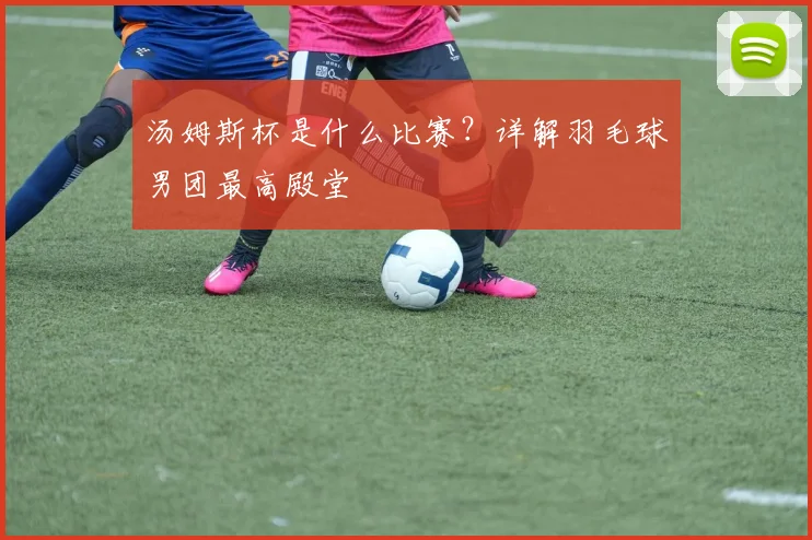汤姆斯杯是什么比赛？详解羽毛球男团最高殿堂