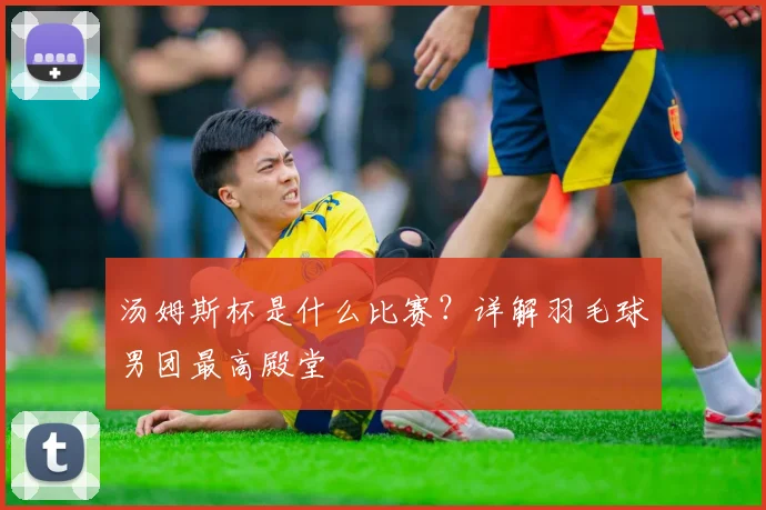 汤姆斯杯是什么比赛？详解羽毛球男团最高殿堂
