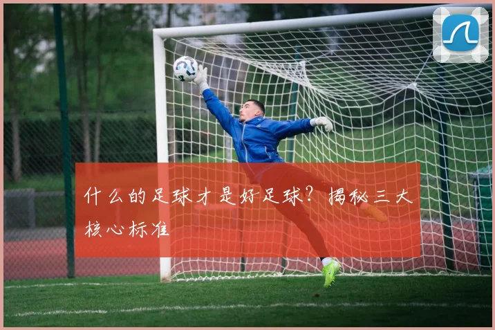 什么的足球才是好足球？揭秘三大核心标准