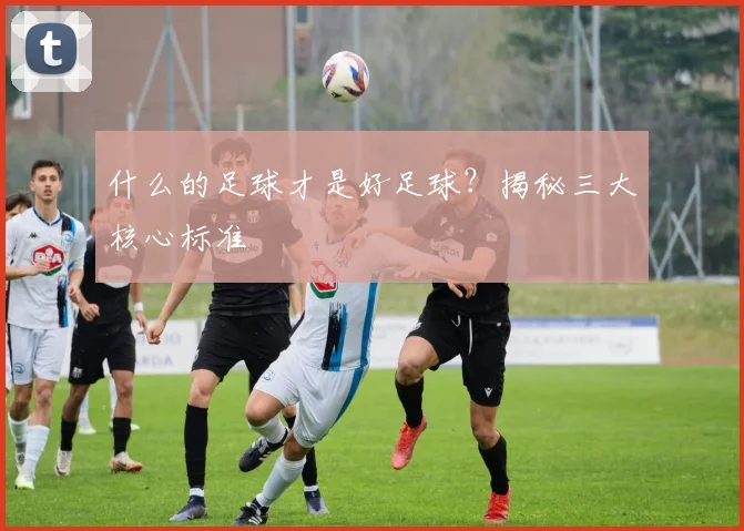 什么的足球才是好足球？揭秘三大核心标准
